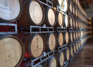 Wijntrend: een stap richting duurzaamheid wijn duurzaam