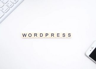 Wat zijn WordPress plugins?