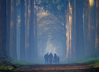 Geniet van natuur tijdens een vakantie op de Veluwe