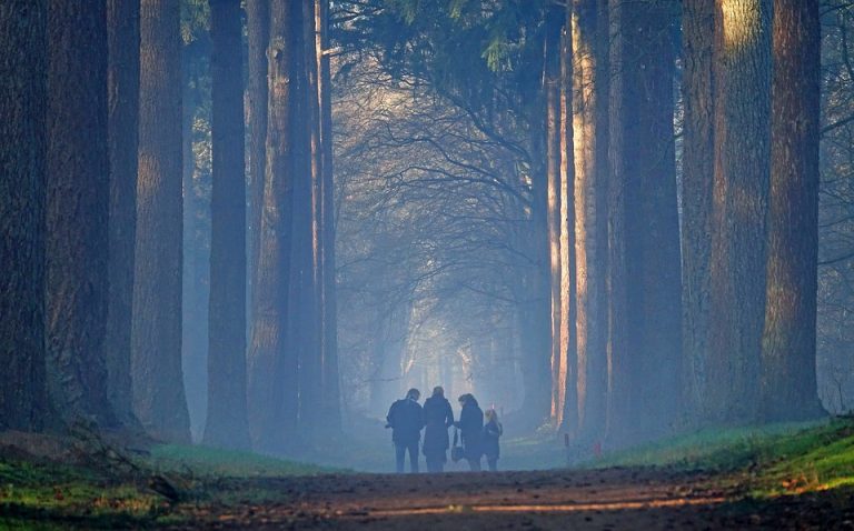 Geniet van natuur tijdens een vakantie op de Veluwe