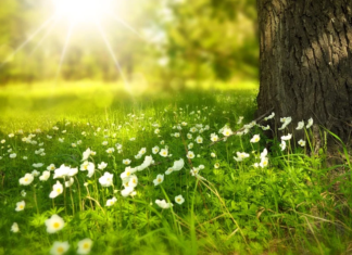 Leuke zomeractiviteiten gezocht? Wij hebben ze voor je
