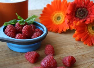 Wat zijn superfoods en waarom zijn ze goed voor je gezondheid?