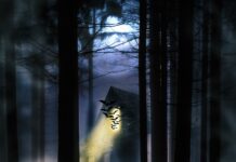 Waarom zijn mensen zo gefascineerd door enge dingen?