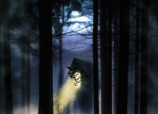 Waarom zijn mensen zo gefascineerd door enge dingen?