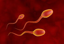 Ik wil als man mijn vruchtbaarheid testen. Hoe doe ik dat? Drie concurrerende spermacellen